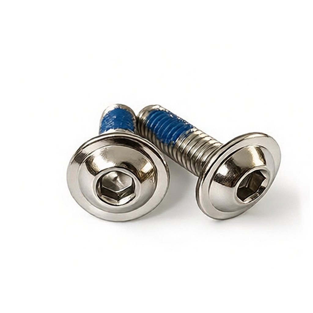 Panel Mounting Screws M6 x 20 (Pair)